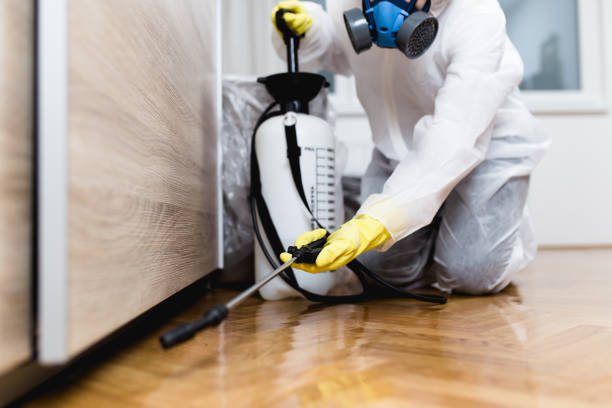 Best Bed Bug Extermination  in Grove City, FL