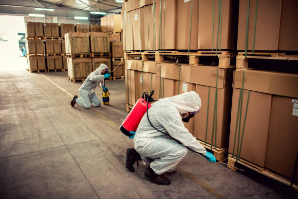 Best Flea Control Services  in Grove City, FL