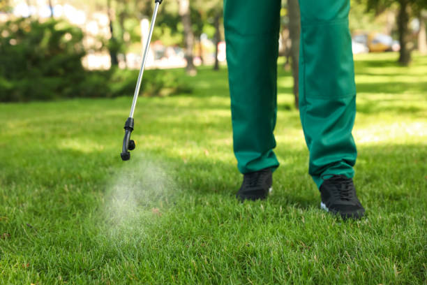 Pest Prevention Services in Grove City, FL