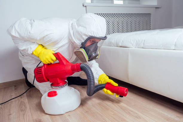 Best Affordable Pest Control Services  in Grove City, FL