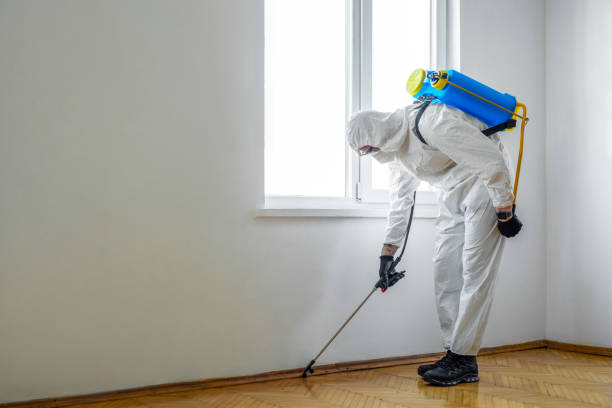 Trusted Grove City, FL Pest Control Experts