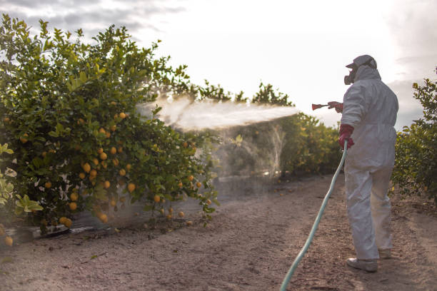 Best Cockroach Control Services  in Grove City, FL
