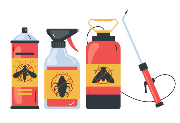 Best Wasp Removal Services  in Grove City, FL