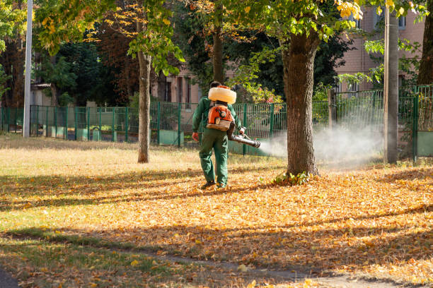 Best Emergency Pest Control  in Grove City, FL