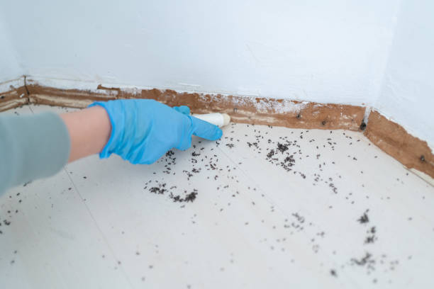 Best Exterminator Services  in Grove City, FL