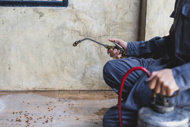 Best Best Pest Control Companies  in Grove City, FL